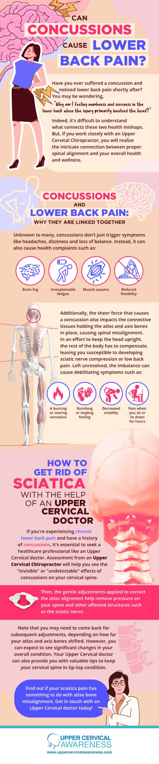 chiropractor in Spring Lake Park, back pain relief infographic